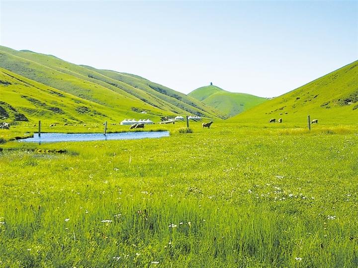 会泽大海草山旅游攻略_云南会泽大海草山旅游攻略_会泽大海草山自驾一日游