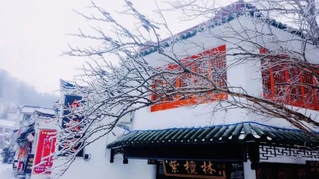 神雕山野生动物园旅游攻略_北京到九华山的旅游攻略_户县九华山旅游攻略