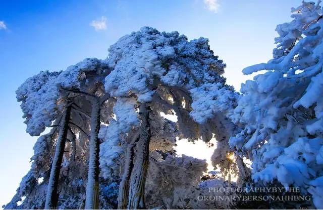 安徽三清山风景区_安徽三清山旅游攻略_安徽三清山旅游景点