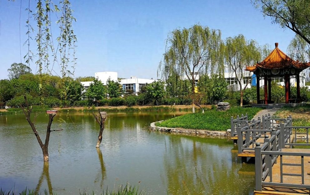 都市中的自然瑰宝：北京府公园