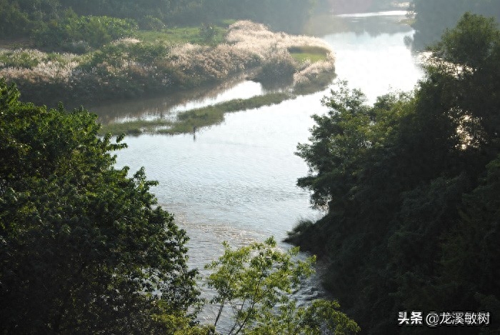 勐仑植物园旅游攻略_勐仑植物园游记_勐仑植物园本地人门票