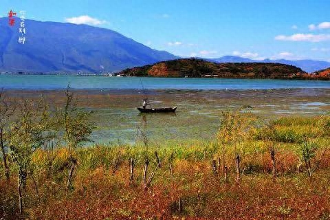 双廊旅拍推荐_双廊图片风景图片真实_双廊旅游攻略图片