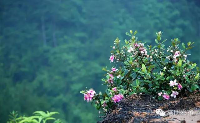 岗南水库库容_岗南水库排名_岗南水库边好玩的地方