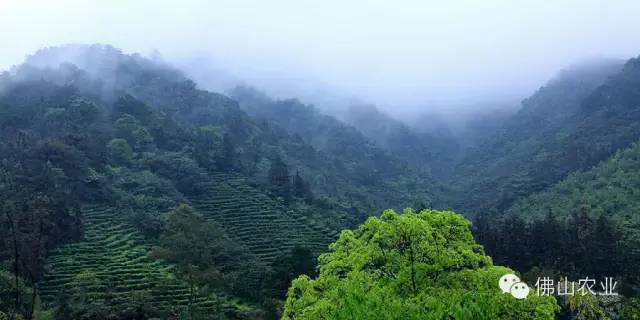 岗南水库库容_岗南水库边好玩的地方_岗南水库排名