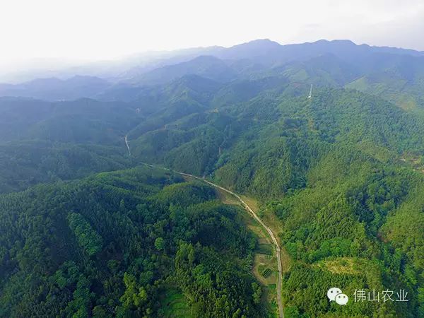 岗南水库排名_岗南水库库容_岗南水库边好玩的地方