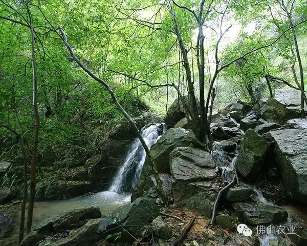 岗南水库排名_岗南水库库容_岗南水库边好玩的地方