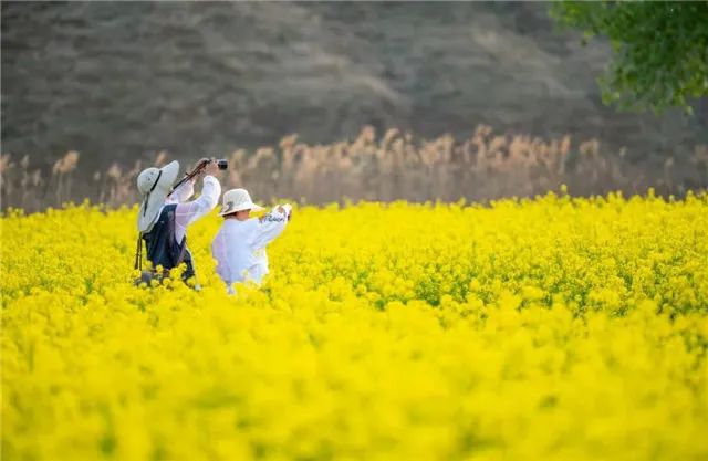 庆阳旅游攻略_庆阳游玩攻略_庆阳旅游攻略自助游