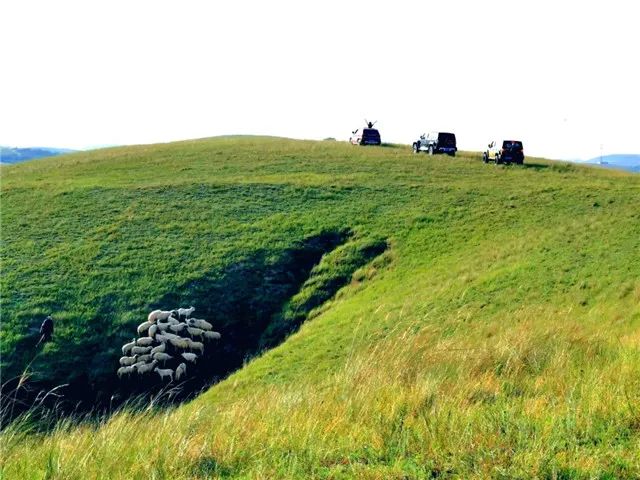 庆阳游玩攻略_庆阳旅游攻略自助游_庆阳旅游攻略