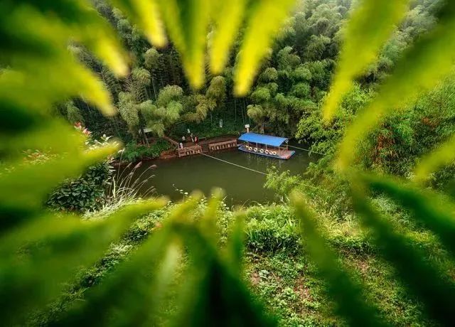 四川蜀南竹海旅游攻略_川南竹海景点_四川蜀南竹海门票多少钱