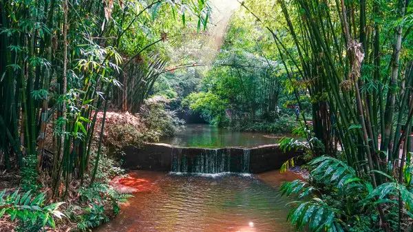 四川旅游景点蜀南竹海_请您欣赏四川蜀南竹海风光_四川蜀南竹海旅游攻略