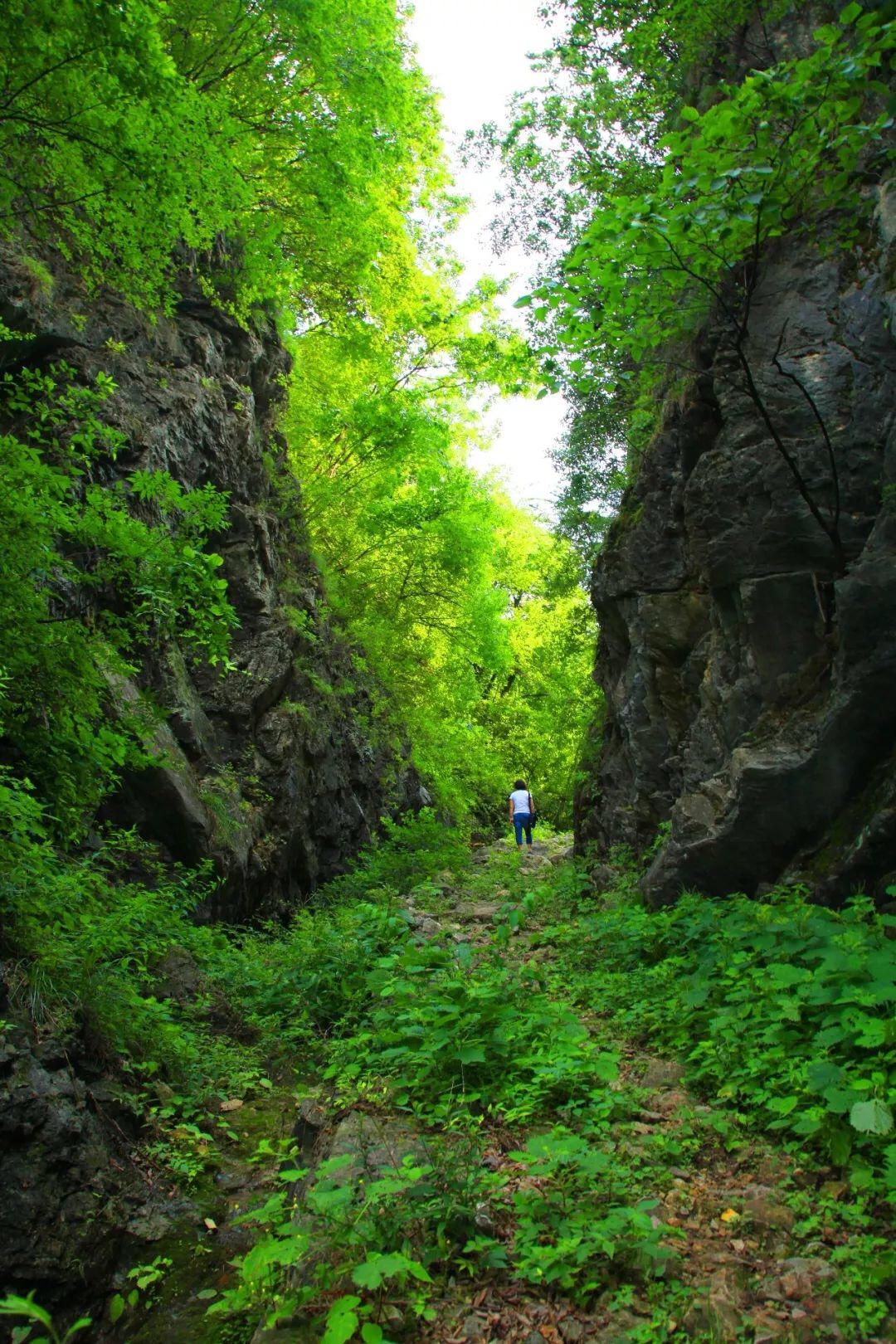 重渡沟必去打卡景点_重渡沟旅游攻略_重渡沟景区游玩攻略