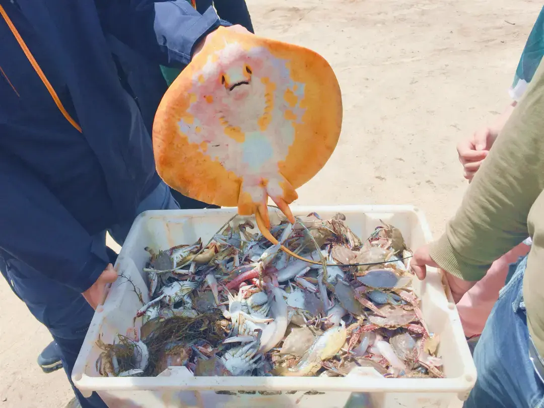 海岛旅游推荐国外_国外海岛旅游景点_海岛国外旅游推荐地方