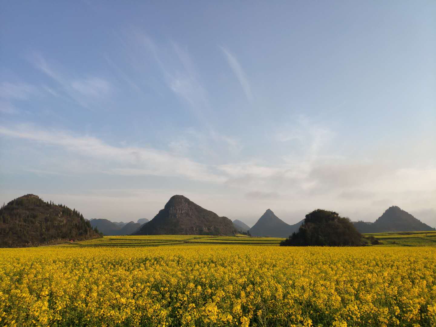 云南罗平最佳旅游时间_云南罗平旅游攻略_云南罗平旅游攻略图片