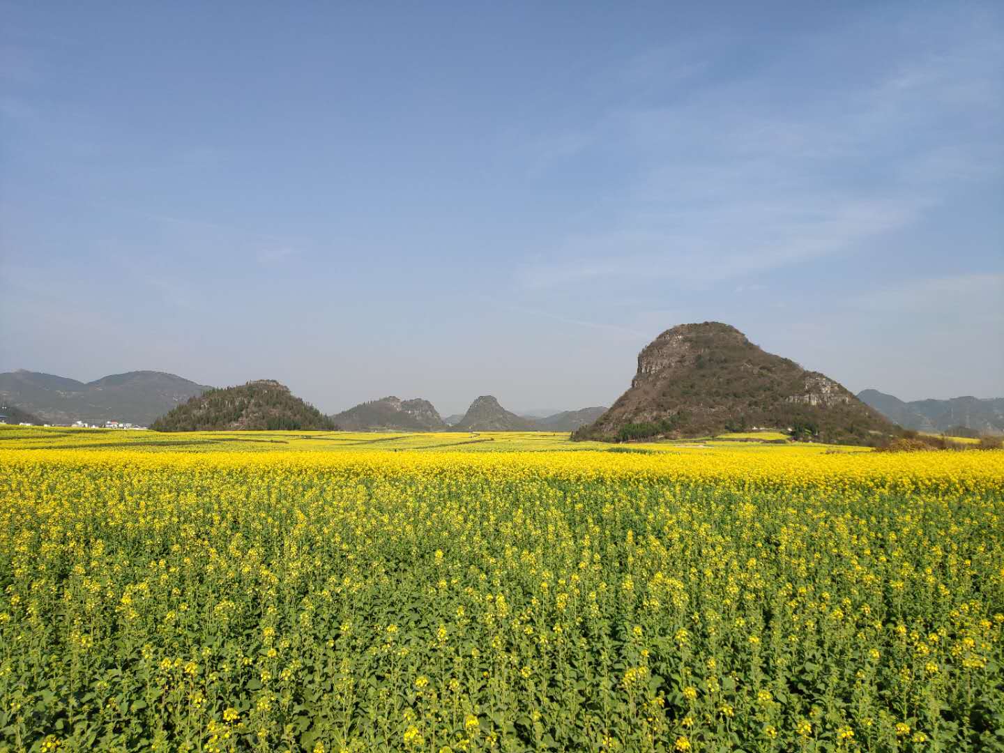 云南罗平最佳旅游时间_云南罗平旅游攻略图片_云南罗平旅游攻略