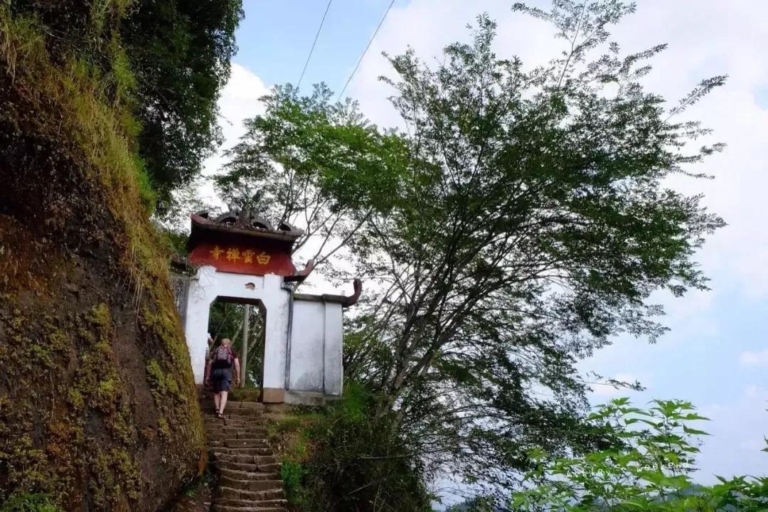 武夷山一日旅游攻略_武夷山旅游攻略1日游_武夷山的攻略