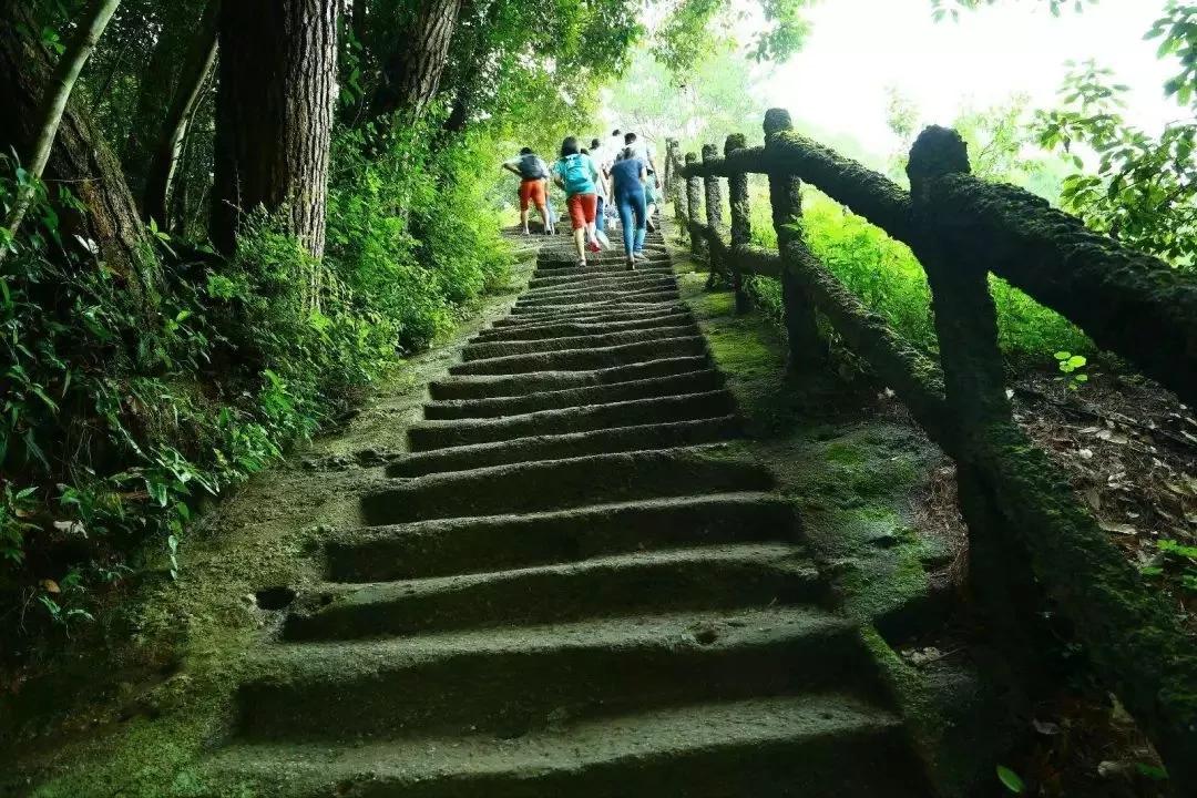 武夷山旅游攻略1日游_武夷山一日旅游攻略_武夷山的攻略