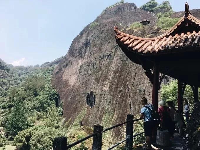 武夷山一日旅游攻略_武夷山的攻略_武夷山旅游攻略1日游