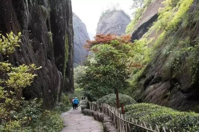 武夷山一日旅游攻略_武夷山的攻略_武夷山旅游攻略1日游