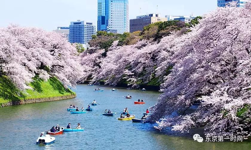 日本池袋购物攻略_日本池袋有啥好玩的_日本池袋旅游攻略