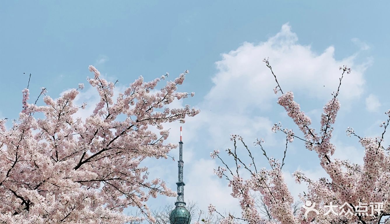 中山有什么好玩的景点_清明节中山哪里好玩_中山好玩还是佛山好玩