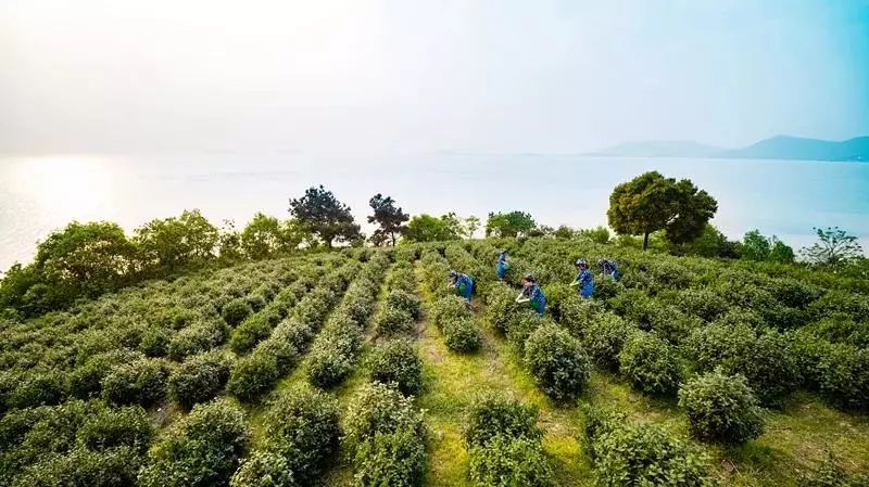 苏州 西山 旅游攻略_苏州西山免费旅游攻略_苏州东西山旅游攻略