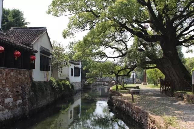 苏州东西山旅游攻略_苏州 西山 旅游攻略_苏州西山免费旅游攻略