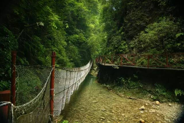 西塘古镇旅游攻略 西塘古镇好玩吗_熨斗古镇旅游攻略_熨斗古镇攻略