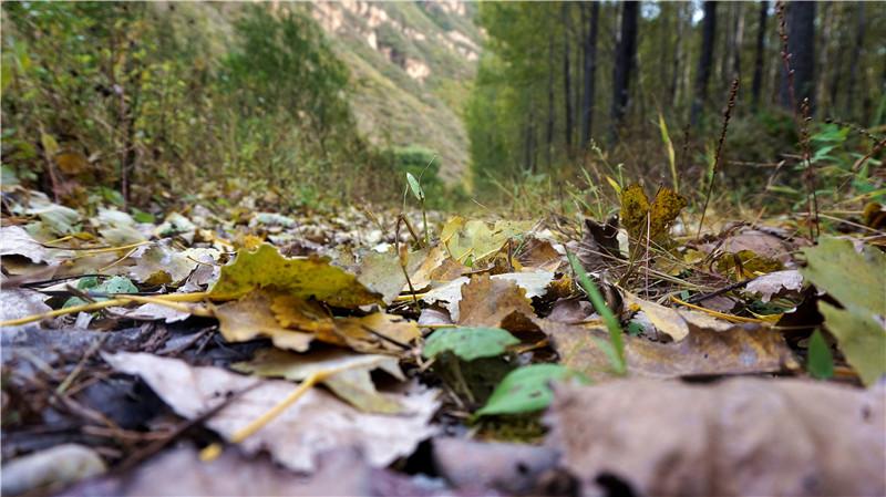 新安江山水画廊步行攻略_百里山水画廊旅游攻略_北京延庆百里山水画廊攻略