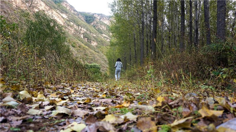 新安江山水画廊步行攻略_北京延庆百里山水画廊攻略_百里山水画廊旅游攻略