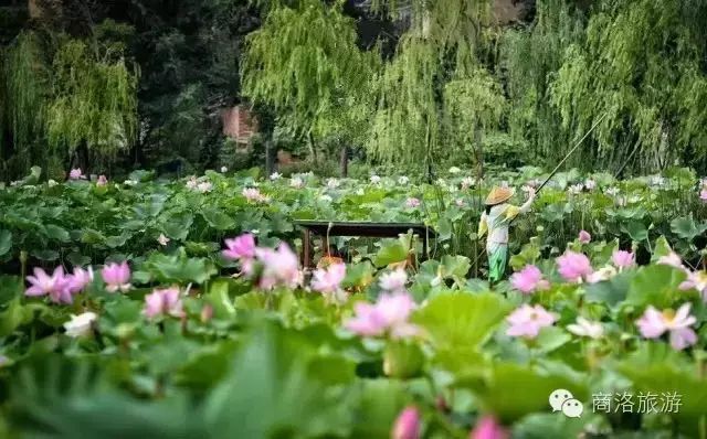 商洛九天山旅游攻略_商洛金丝峡旅游攻略_商洛自驾游旅游攻略