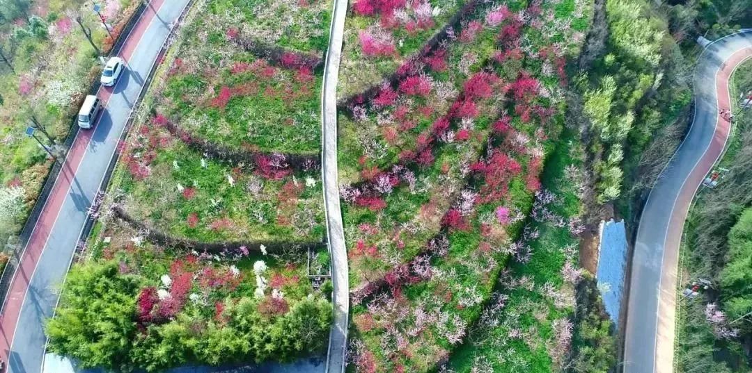 商洛自驾游旅游攻略_商洛九天山旅游攻略_商洛金丝峡旅游攻略