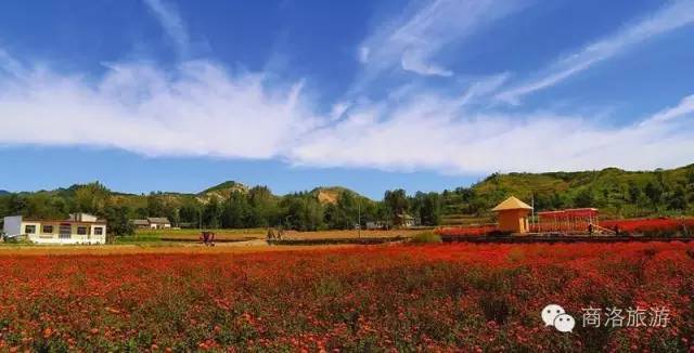 商洛金丝峡旅游攻略_商洛自驾游旅游攻略_商洛九天山旅游攻略