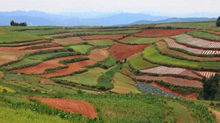 云南会泽大海草山旅游游记_会泽大海草山旅游攻略_会泽大海草山怎么玩