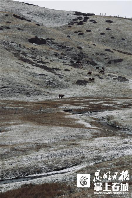 会泽大海草山风景区降下2019年冬季第一场雪