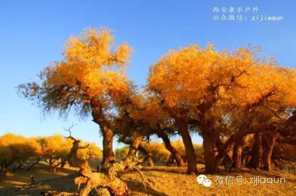 吉林长白山旅游攻略_巴丹吉林沙漠旅游攻略_阿拉善盟沙漠旅游攻略