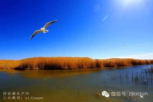 阿拉善盟沙漠旅游攻略_吉林长白山旅游攻略_巴丹吉林沙漠旅游攻略