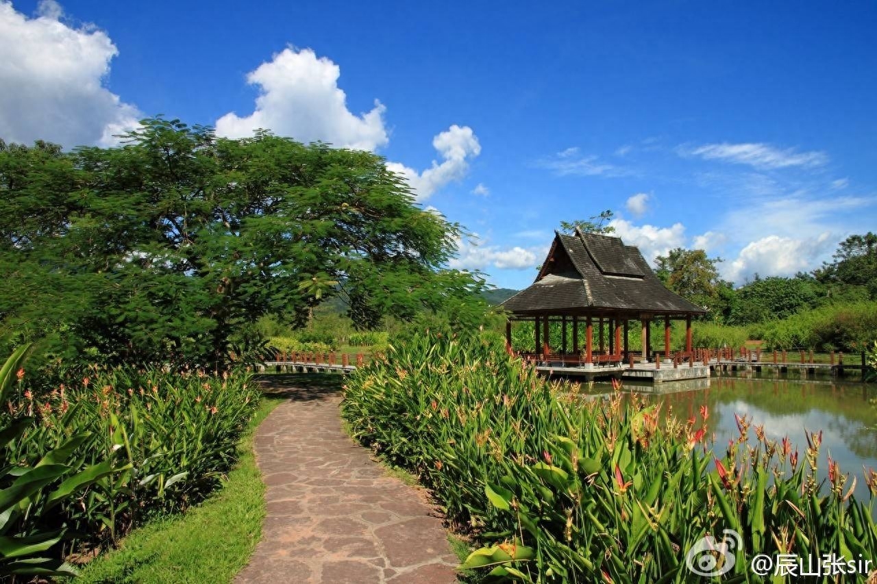 西双版纳勐仑植物园攻略_郑州绿博园旅游攻略_勐仑植物园旅游攻略