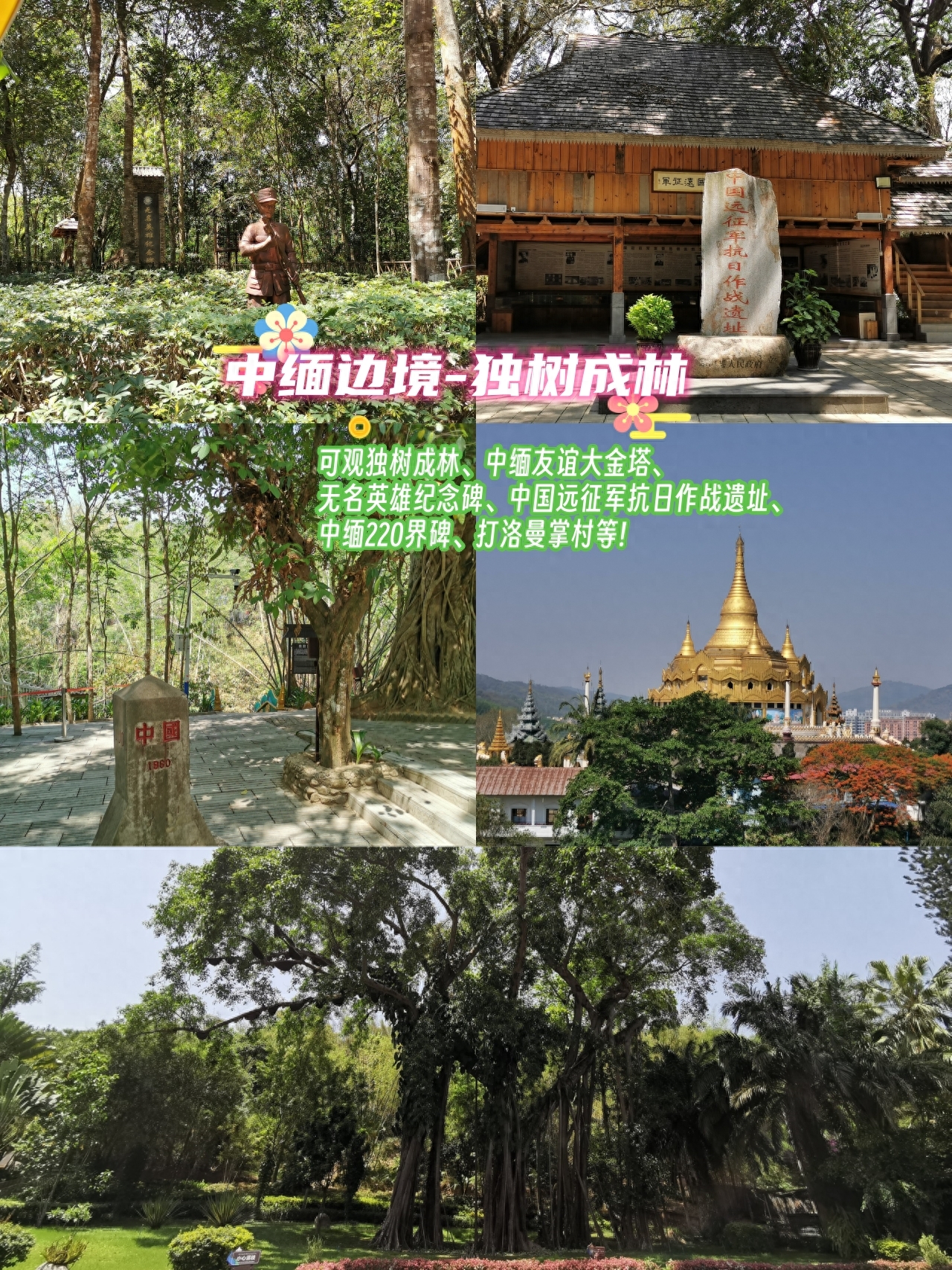 勐仑植物园住宿_勐仑植物园旅游攻略_勐仑植物园一日游