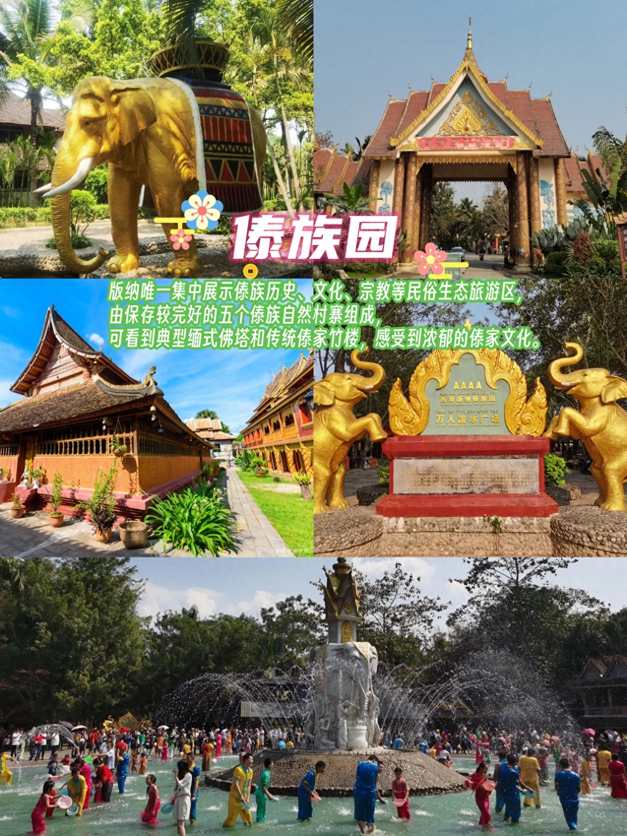 勐仑植物园旅游攻略_勐仑植物园住宿_勐仑植物园一日游