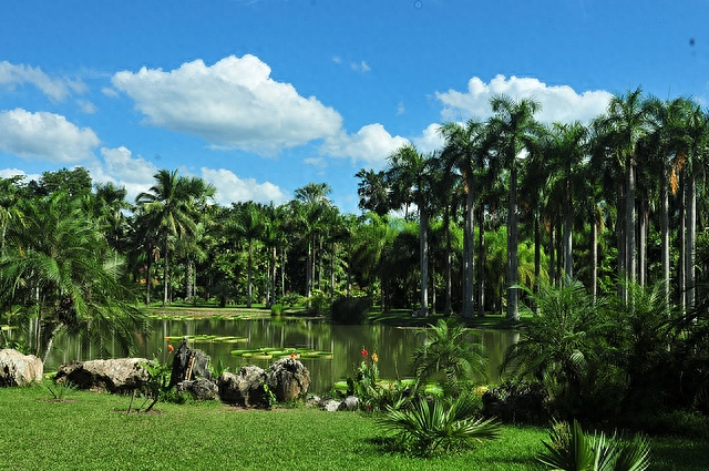 勐仑植物园住宿_勐仑镇植物园_勐仑植物园旅游攻略