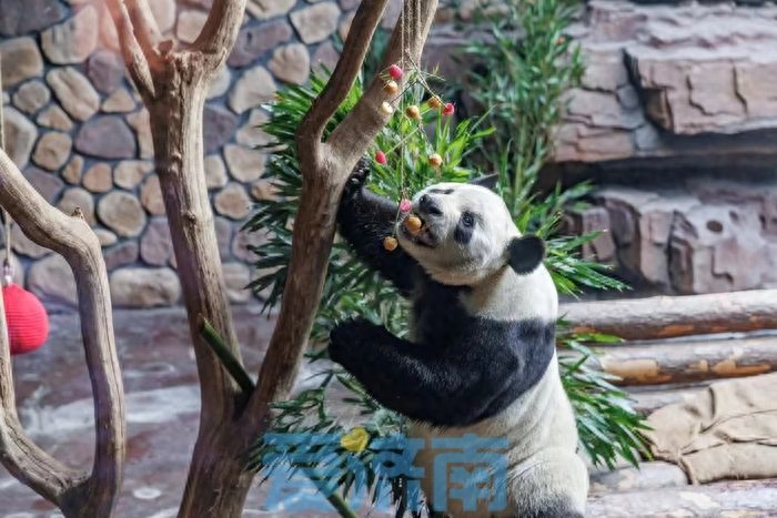 济南动物园游玩攻略_济南动物园旅游攻略_济南动物园游园攻略