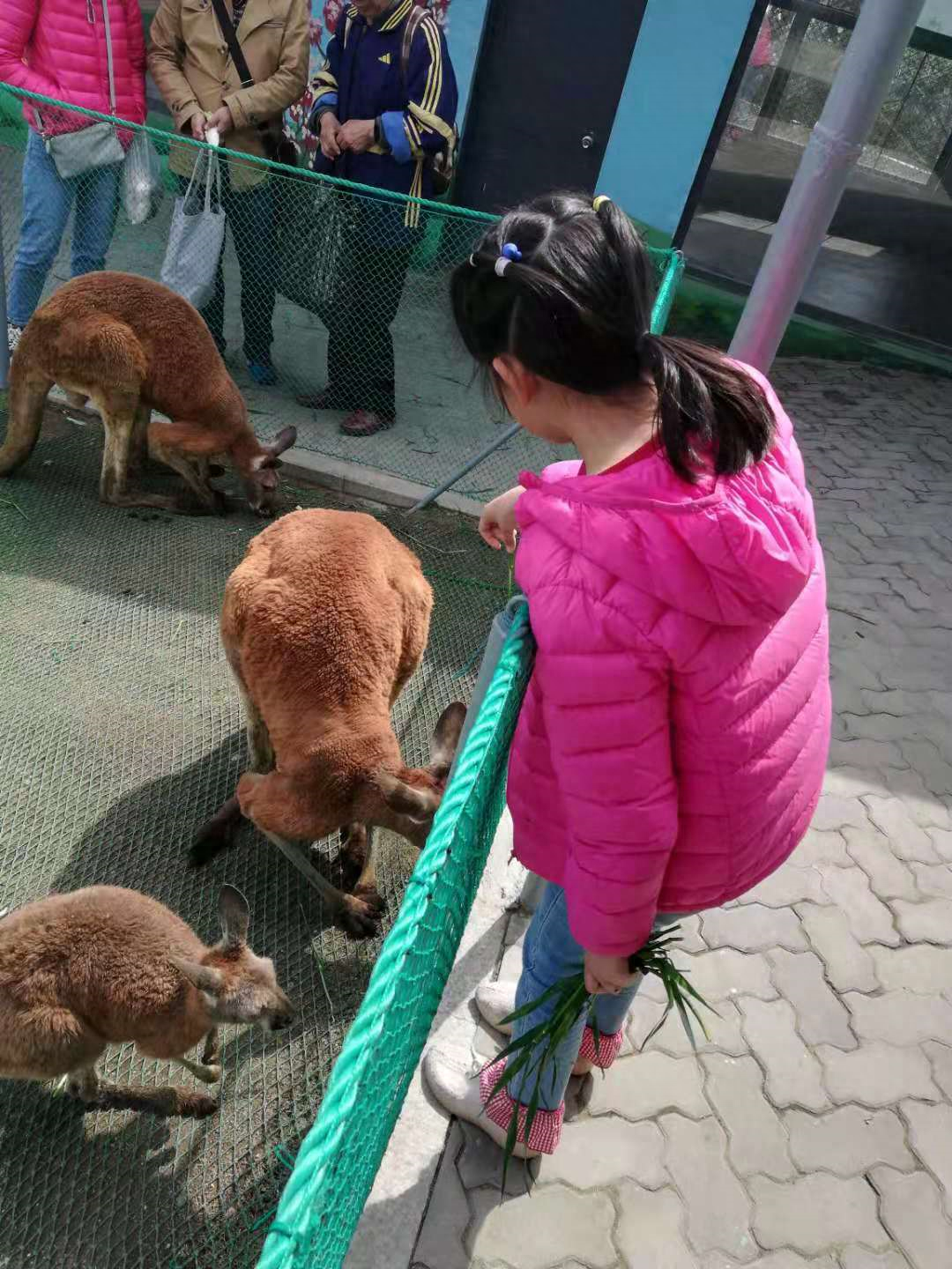 济南动物园旅游攻略_济南动物园游玩攻略_济南动物园游园攻略