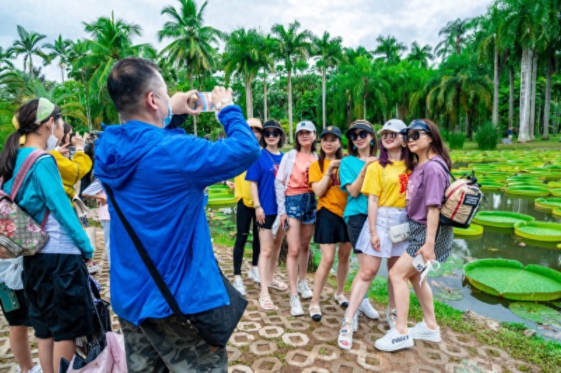 勐仑植物园一日游_勐仑植物园旅游攻略_勐仑植物园本地人门票