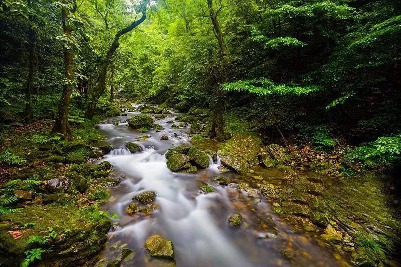 庐山值得游玩的景点_好玩景点庐山景区推荐_庐山好玩的景点