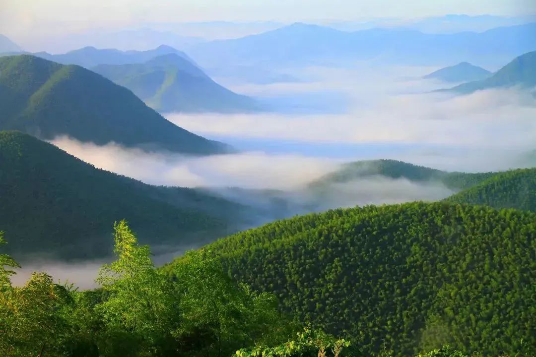 广德旅游_广德旅游攻略_攻略旅游广德的路线