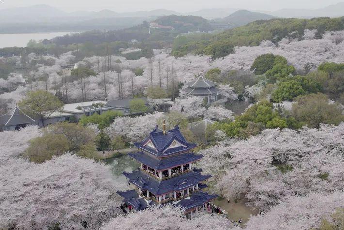 上海高铁旅游最好的线路_上海高铁旅游景点大全_上海高铁旅游攻略