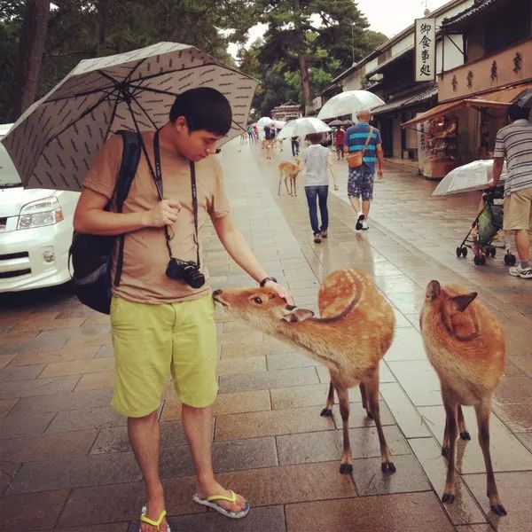 国外旅游去哪个国家好_国外旅游去哪_国外旅游去哪里好玩