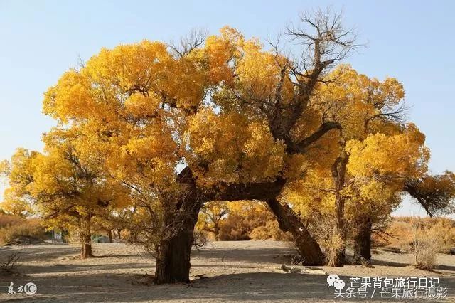 敦煌旅游详细攻略_敦煌旅游攻略必去景点_敦煌自由行旅游攻略