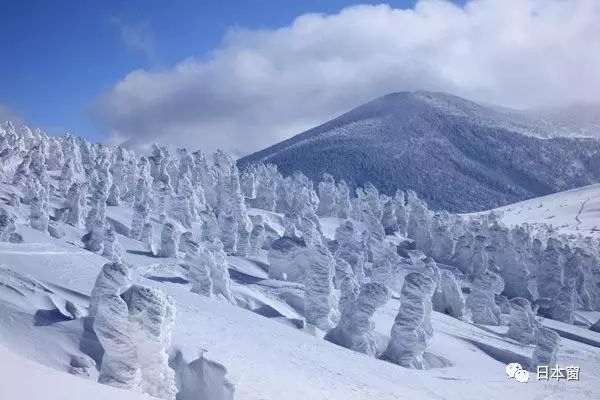 日本青森旅游景点_日本青森县旅游_日本青森旅游攻略