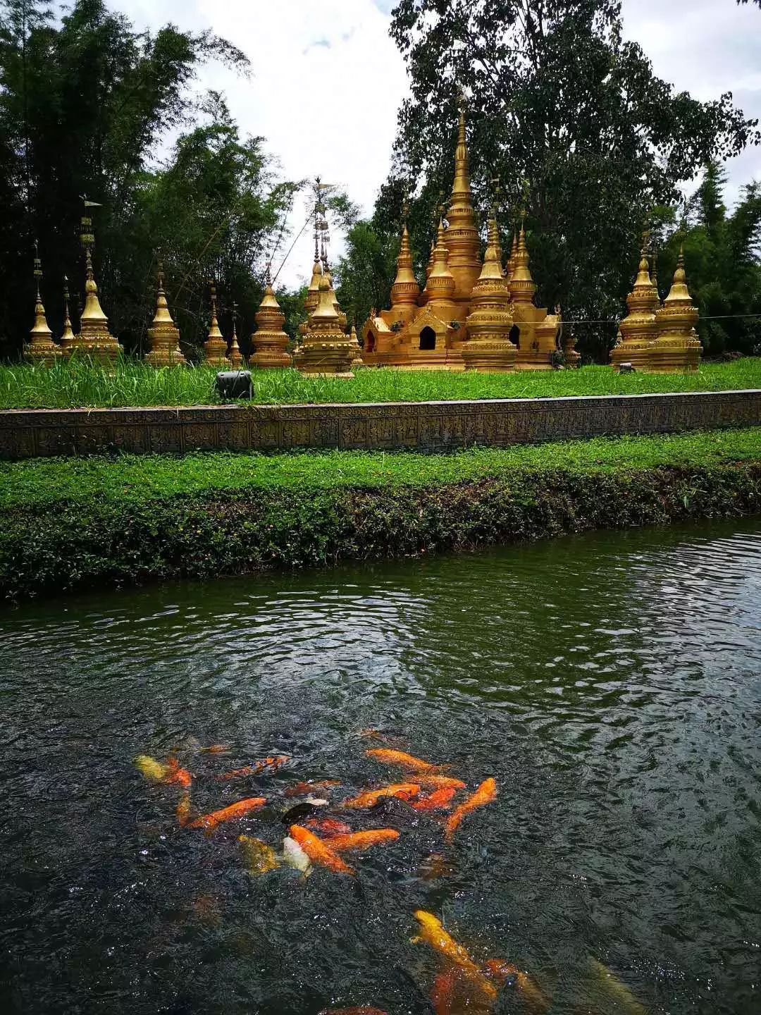 云南丽江和西双版纳哪个好玩_西双版纳好玩还是丽江好玩_西双版纳好玩的景点